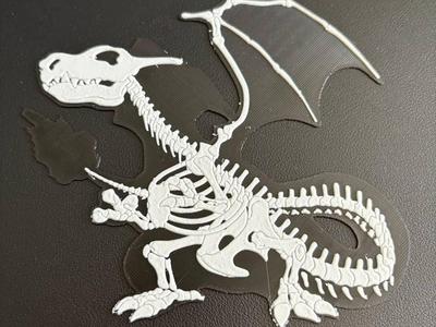 fossil charizard