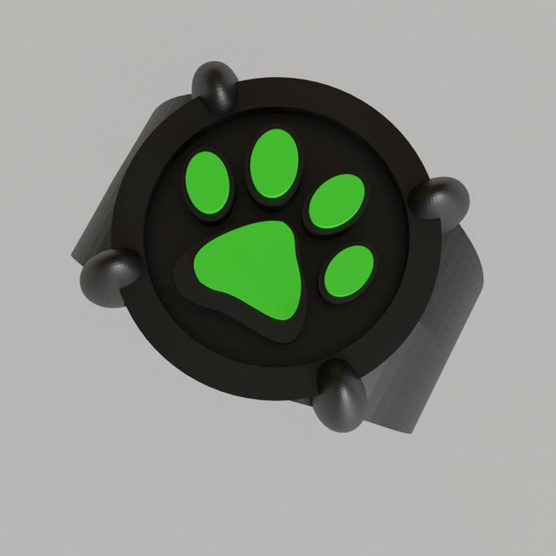 Miraculous cat noir ring