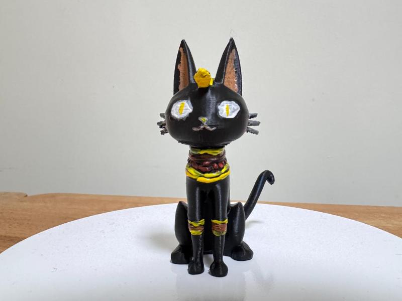 Ruin Skinny Black Cat