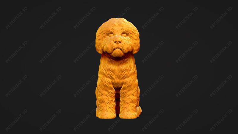 Bolognese Dog 3D Print Model Pose 04
