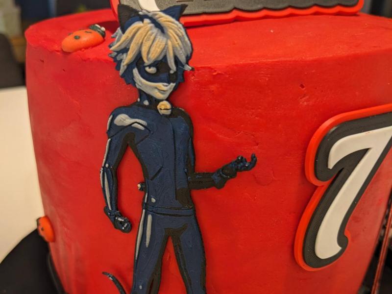 Miraculous Cat Noir cake decoration