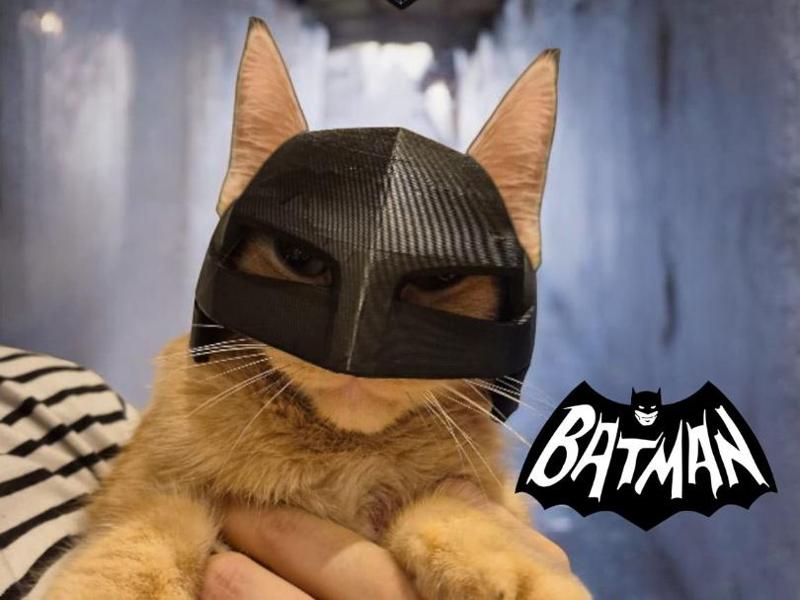 Catman X Superman / Batman Mask