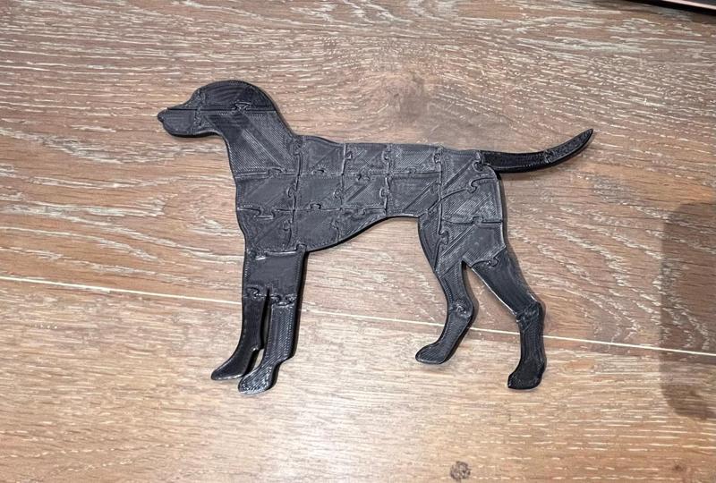 Fun Little Dog Puzzle