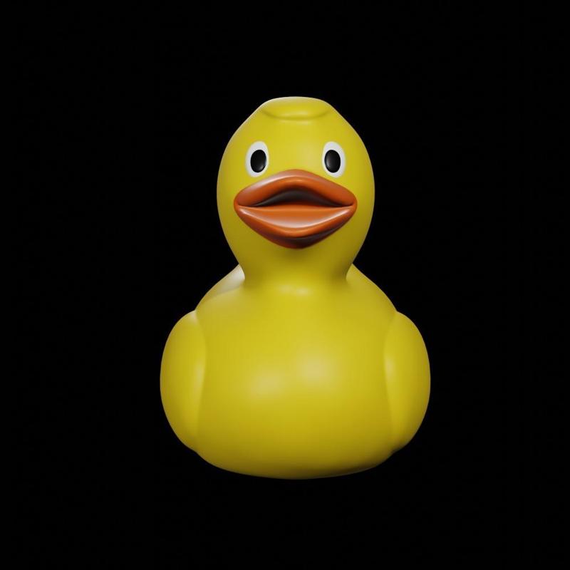 Duck Toy