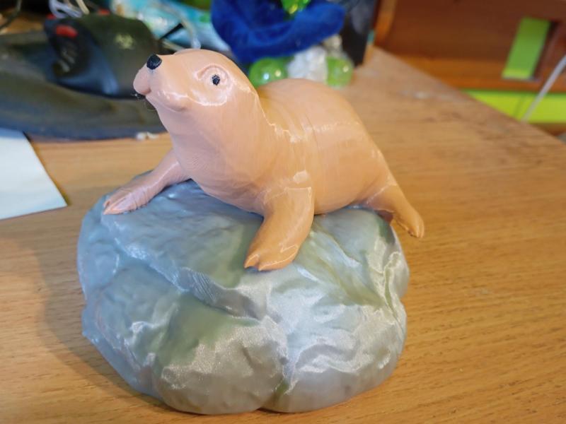 Seal friend