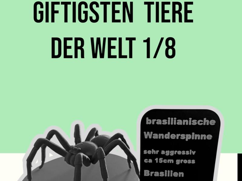 The World's Most Venomous Animals 1/8 Wandering Spider