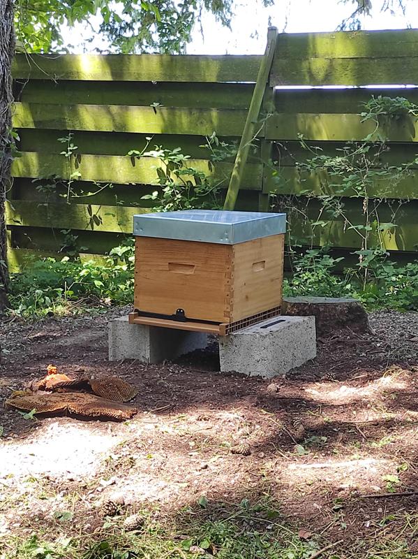 Reversible anti-slip inlet for NICOT 10 frames