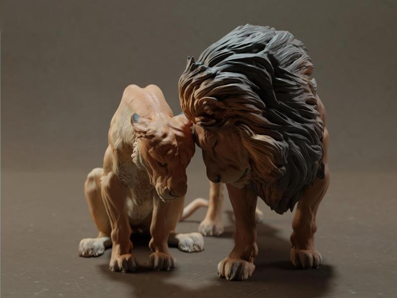 Affectionate Lion (Male Lion)