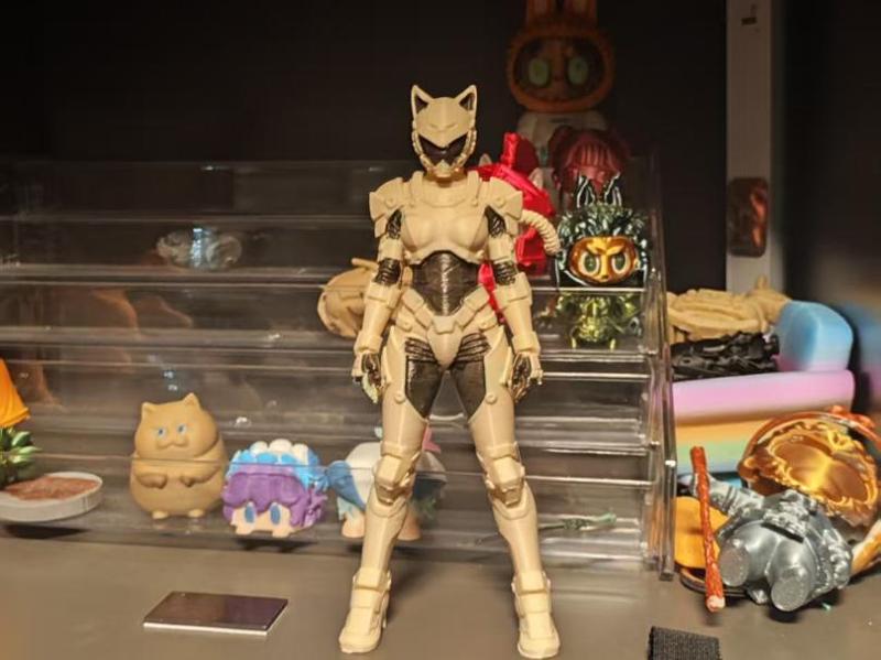 Original Kamen Rider - Cat's Eye Sisters