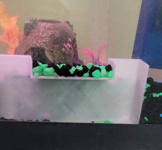 Fish Sanctuary (Box)