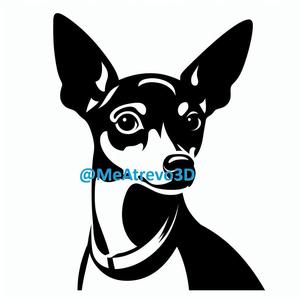 Miniature Pinscher #7