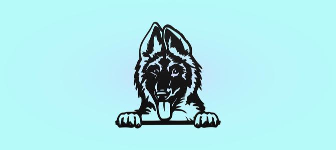 Decorative mural, Belgian malinois puppy