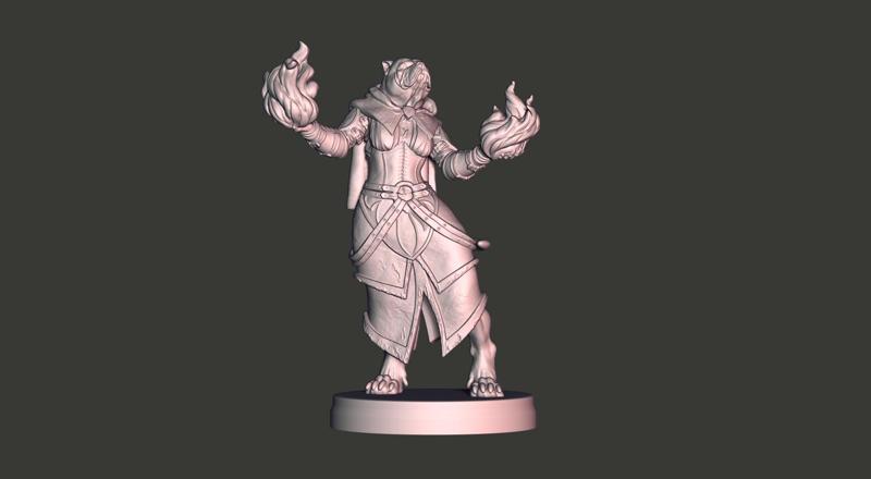 American Bully Witch