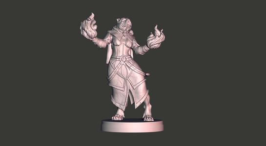 American Bully Witch