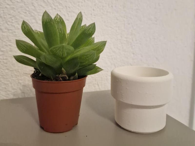 Mini Vase for Mini Plant