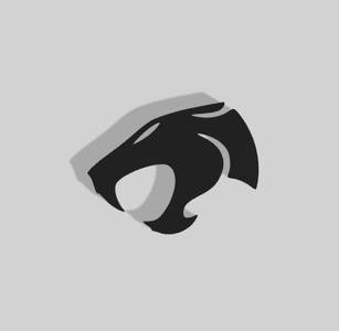 Panther Face Decoration - 2D Art