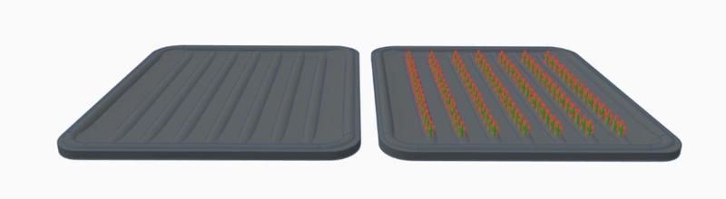 Test of Honour: Rice Paddy