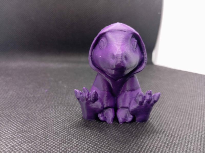 Agumon Reptilian in Hood Digimon Inspired