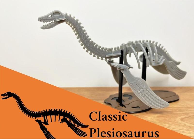 [3Dino Puzzle] Classic Style Plesiosaurus