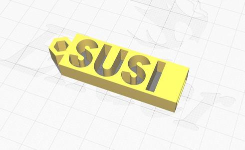 USB Stick - SUSI