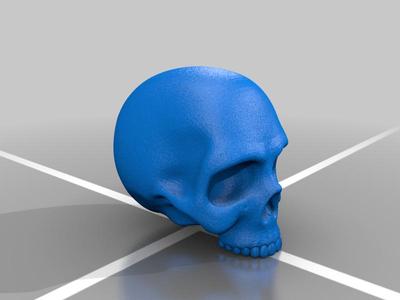 Crâne Skull