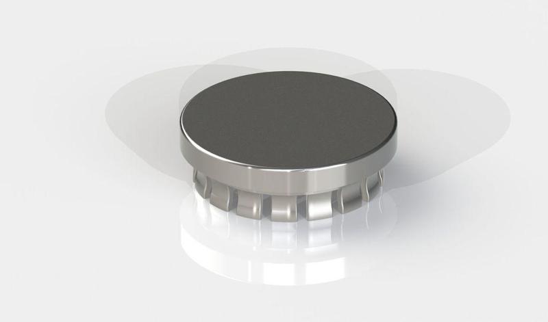 Renault Duster 2021 hubcap front wheels