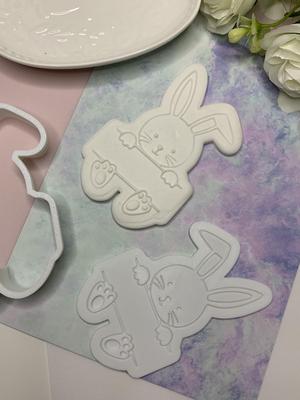 Easter Bunny Plaque Cookie Cutter And Stamp