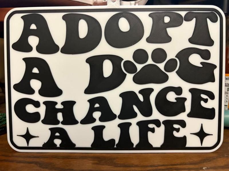 adopt a dog 