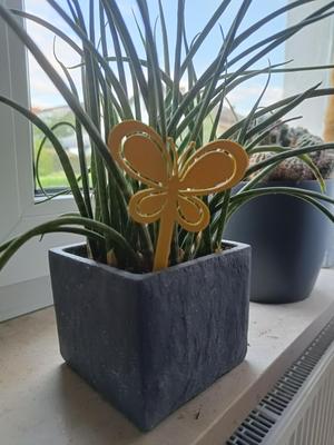 Butterfly houseplant decoration