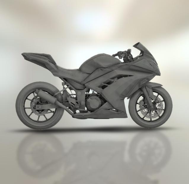Kawasaki Ninja 300