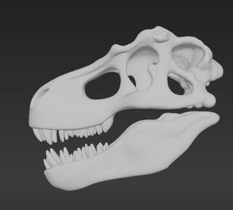 T-Rex Skull
