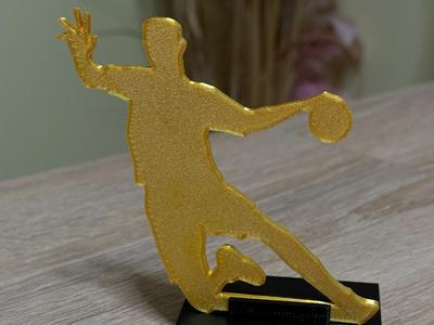 Handball cup