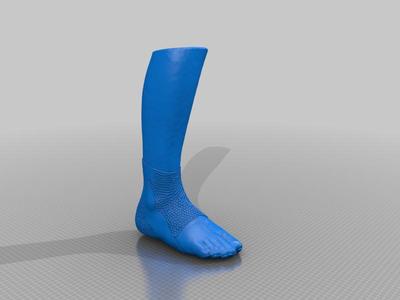 ankle_brace (right)