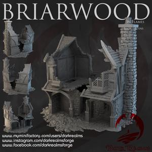Dark Realms - Briarwood - Shop 1 Ruins