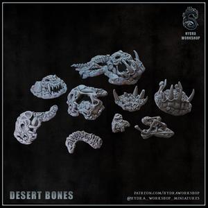 Desert bones