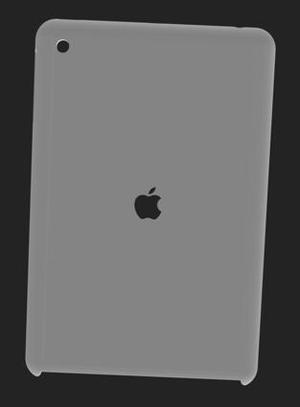 Ipad Mini case