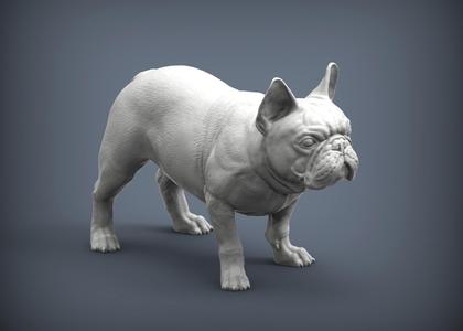 French Bulldog 3D print model