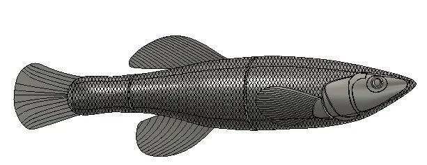 Banded Killifish Swimbait (Fishing Lure)   