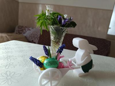 Esater bunny   