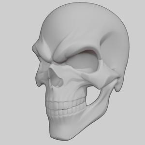Ghost Rider Skull Skulls Ghosts