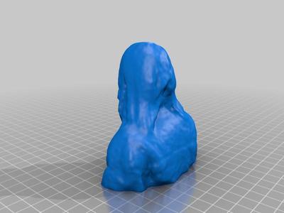 irenica bust