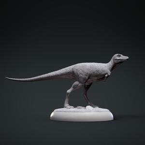 Trex baby