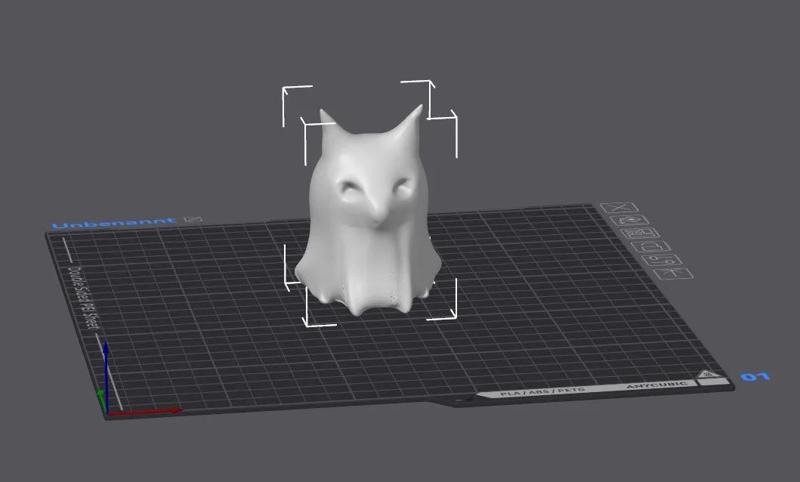Ghost Cat   