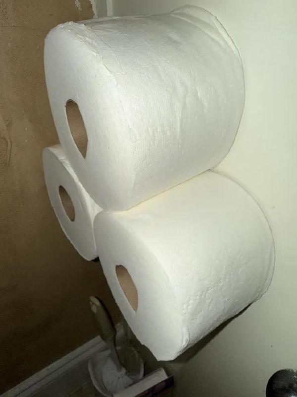 Compact Toilet Paper Holder (Screw mounted) or Twin Towel Holder   