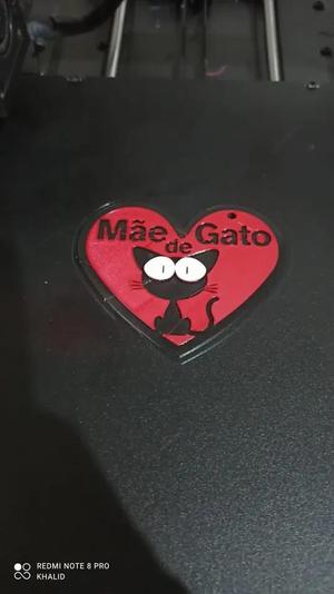 CHAVEIRO GATO   