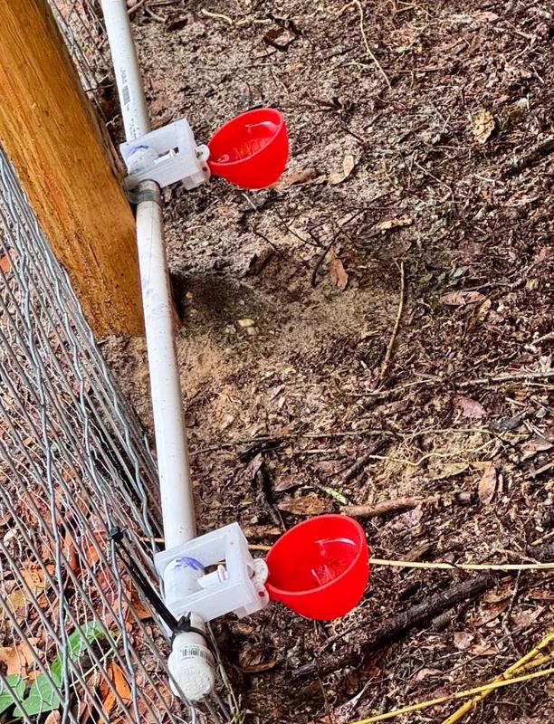 Chicken Waterer Cup Holder   