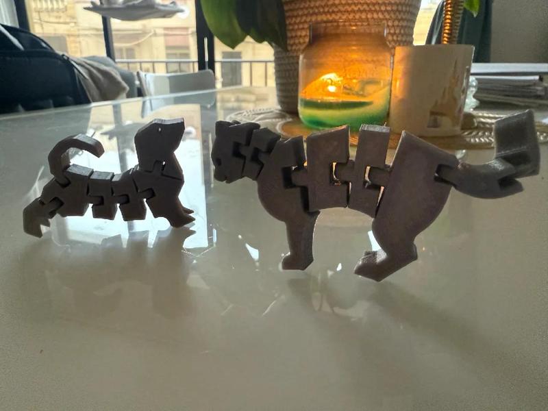 Flexi Doggo + Flexi Catty   