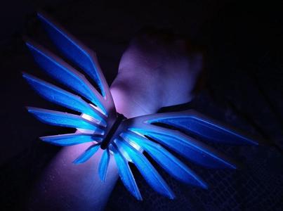 Miniature technological wings