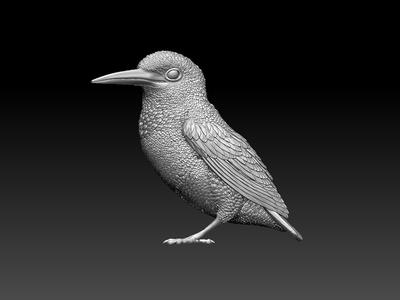 kibgfisher