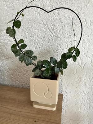 Modern Square Planter with Circle Pattern   